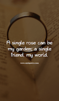 A single rose can be my garden; a single friend, my world.