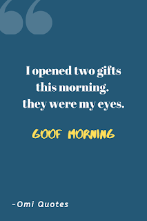 I opened two gifts this morning. they were my eyes. I opened two gifts this morning. they were my eyes.