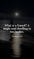 What is a friend? A single soul dwelling in two bodies.