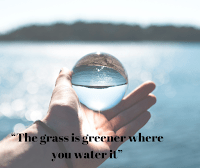 “The grass is greener where you water it”