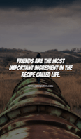 Friends are the most important ingredient in the recipe called life. Friends are the most important ingredient in the recipe called life.