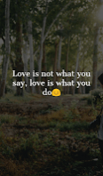 Love is not what you say, love is what you do. Love is not what you say, love is what you do.